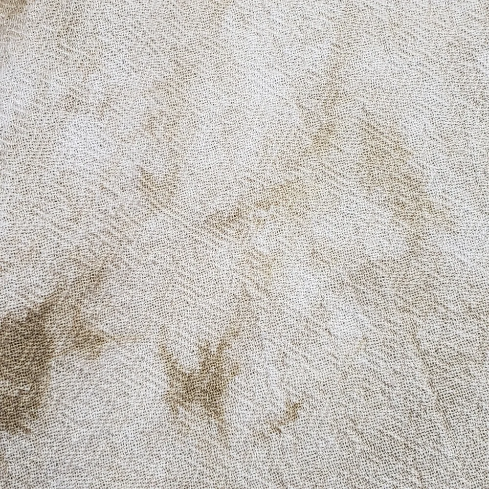 Oh My Gauze! 👑 new